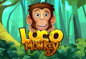 Loco the Monkey